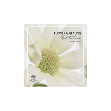 Flower & Healing Meditation Download