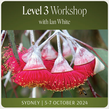 Level 3 - Sydney with Ian White - 5th - 7th October 2024