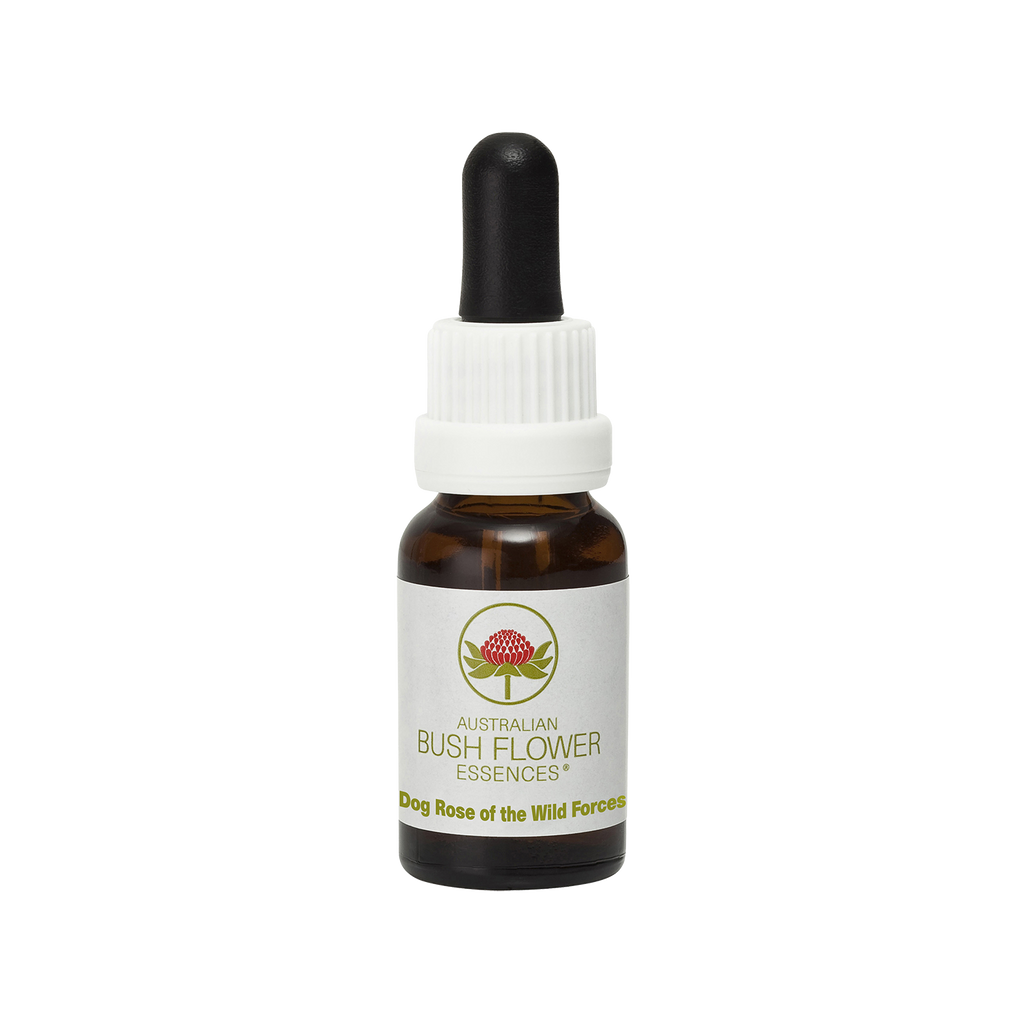 Dog Rose of the Wild Forces Australia Australian Bush Flower Essences