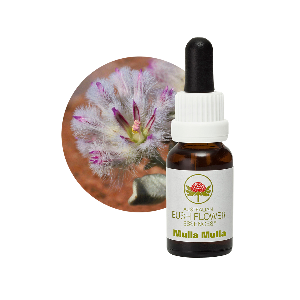 Mulla Mulla Essence – Australian Bush Flower Essences