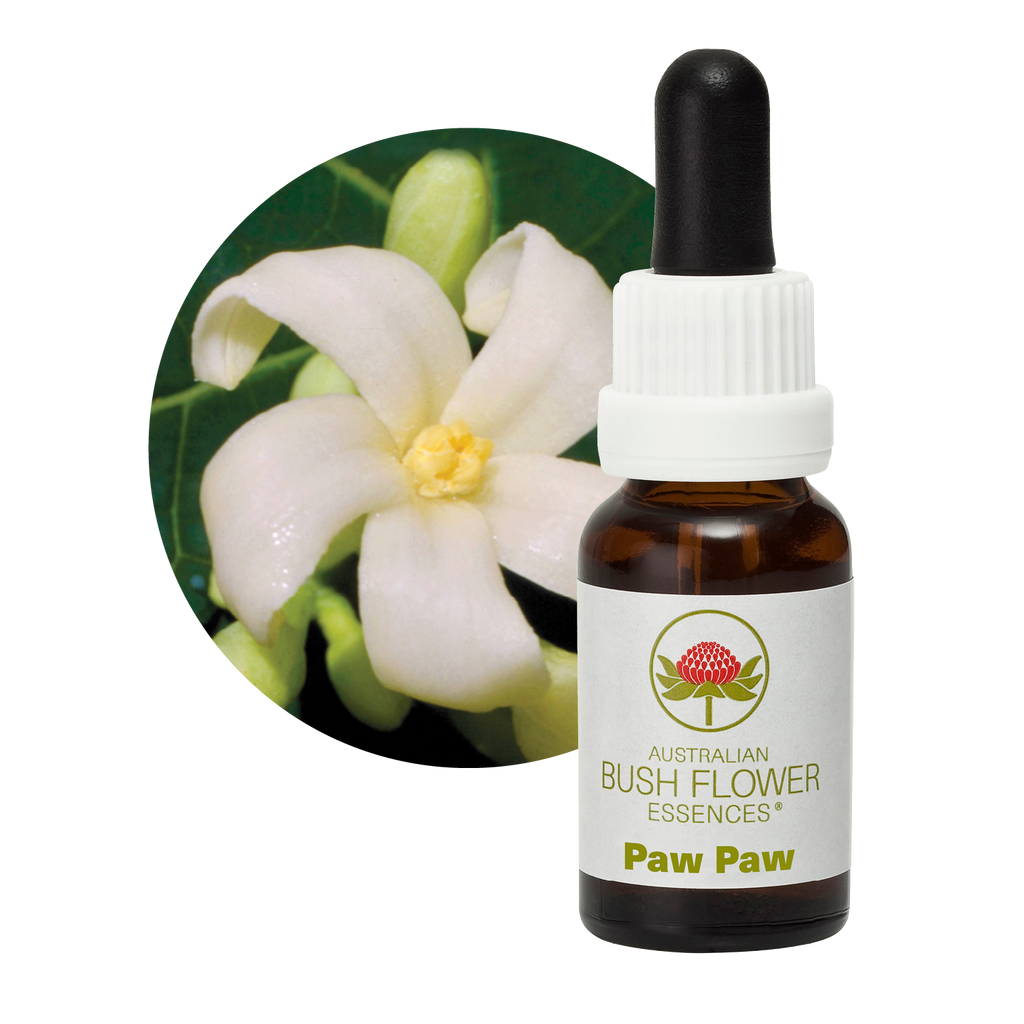 Paw Paw Australia Australian Bush Flower Essences