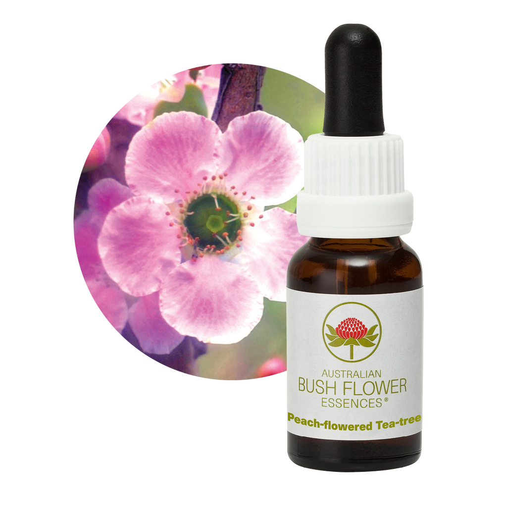 Peachflowered Teatree Australia Australian Bush Flower Essences