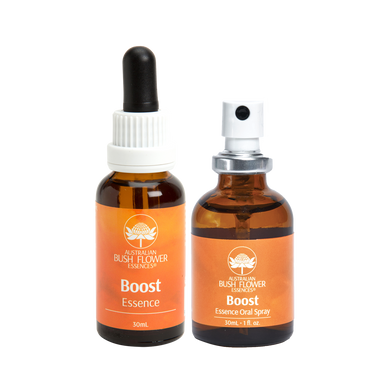 Boost Essence has been specifically formulated to support and boost you through changing and challenging times.