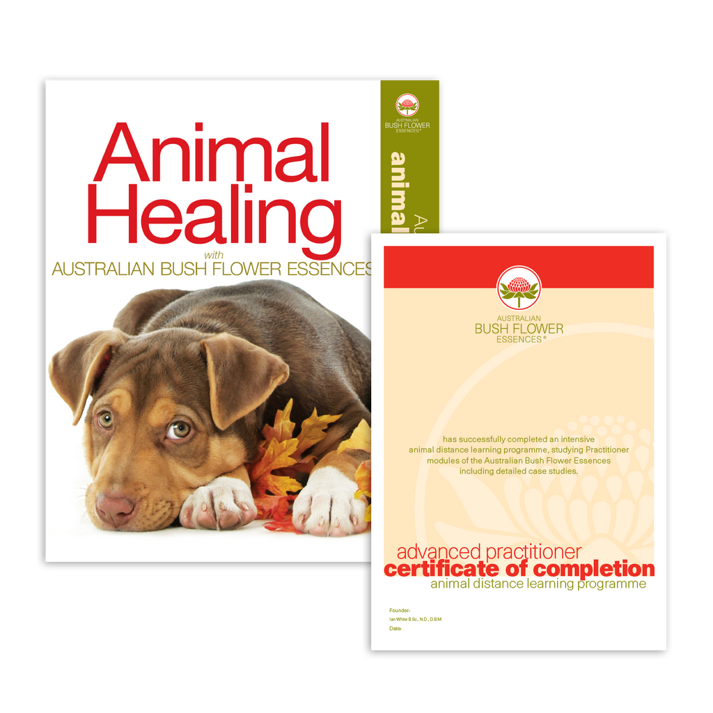 Animal Correspondence Course Australian Bush Flower Essences
