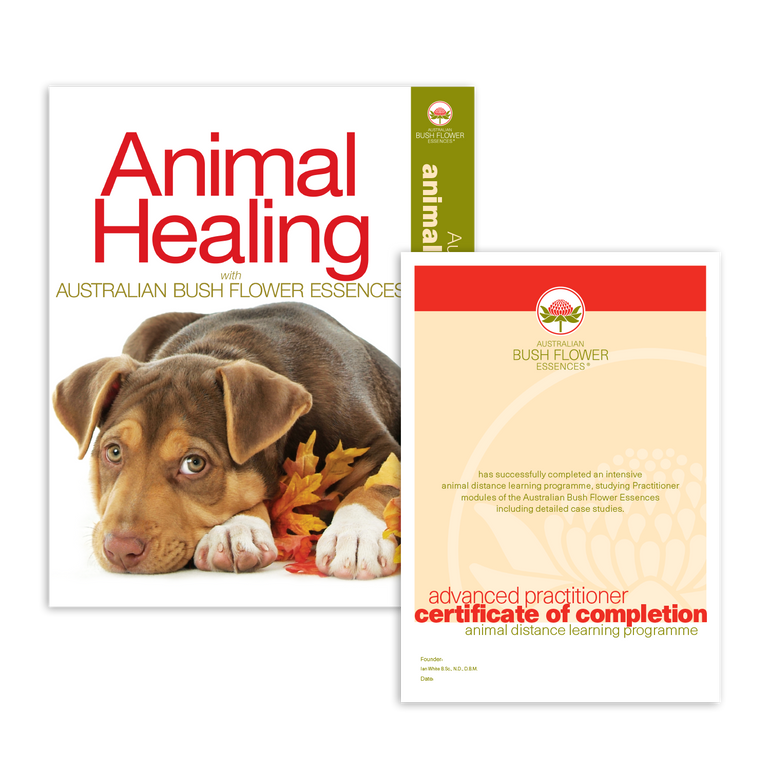 Animal Correspondence Course