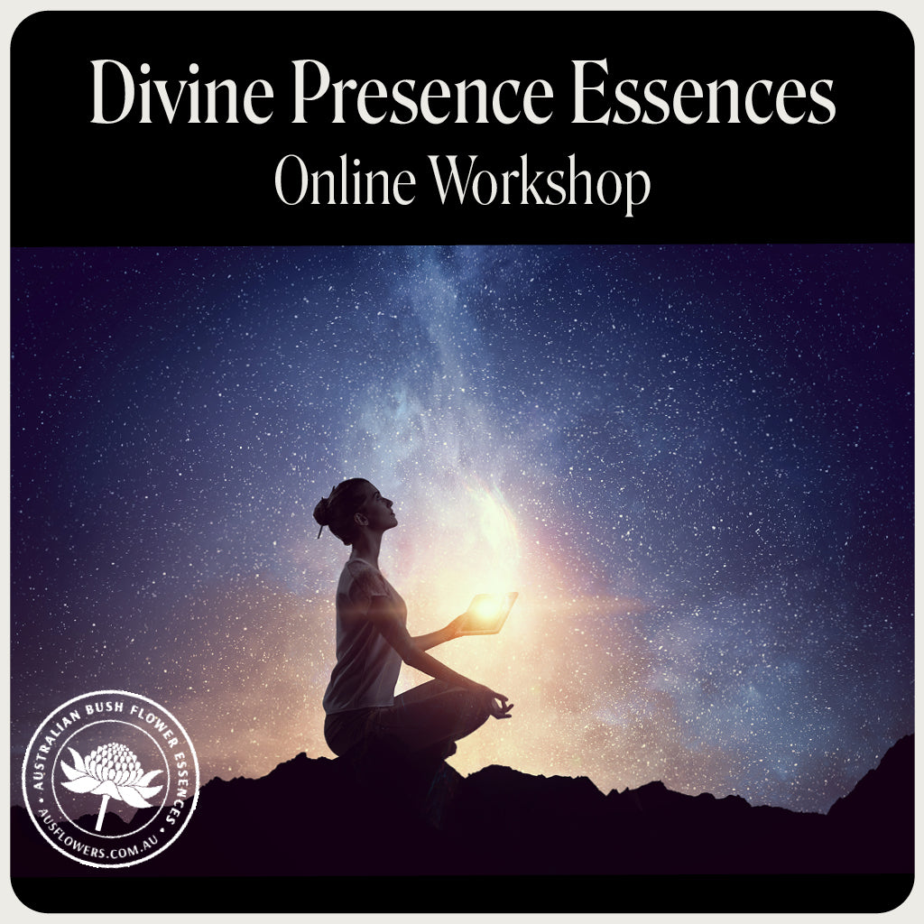 Divine Presence Essences Online Australian Bush Flower Essences