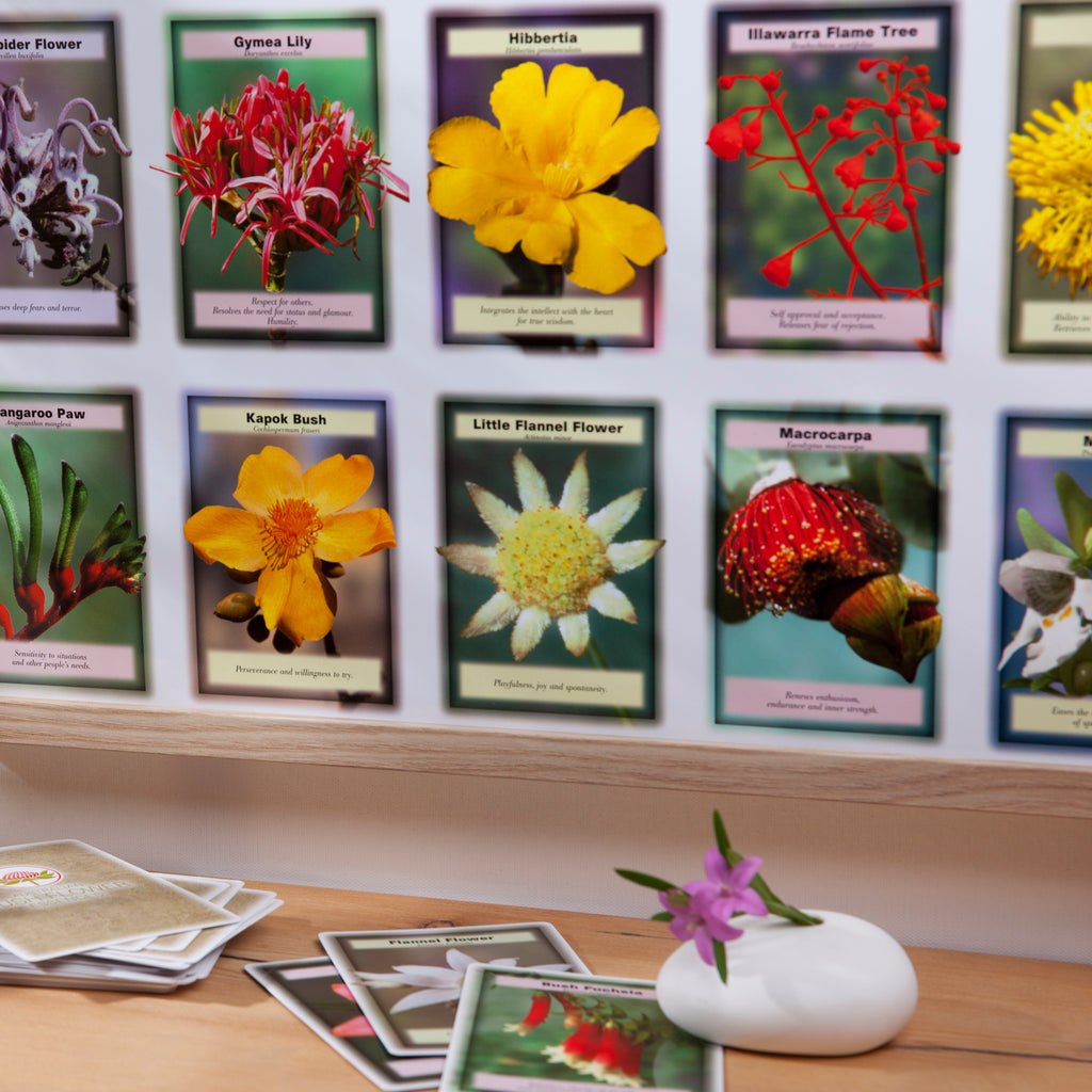 Posters x 4 (Insight Cards) Australian Bush Flower Essences