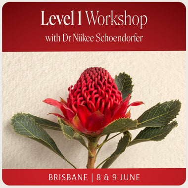 Level 1 Workshop Brisbane