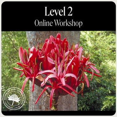 Level 2 Australian Bush Flower Essences Online Workshop