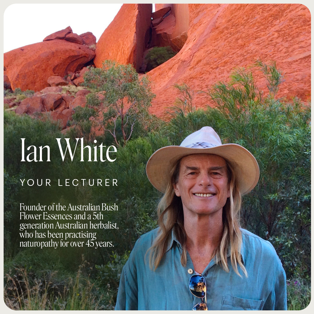 Practitioner Mentoring Program Australian Bush Flower Essences