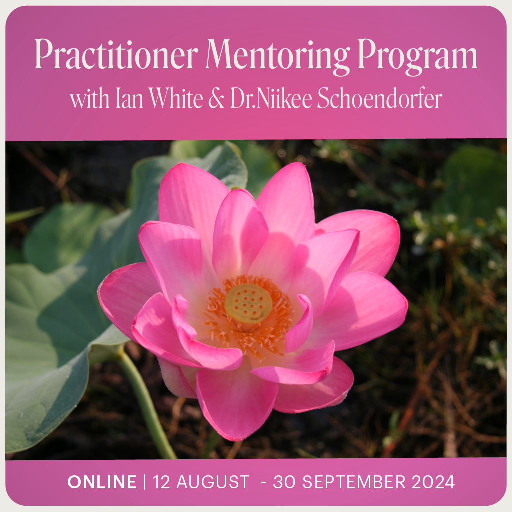 Practitioner Mentoring Program Australian Bush Flower Essences