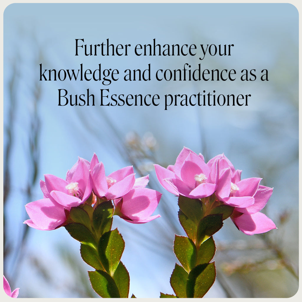 Practitioner Mentoring Program Australian Bush Flower Essences