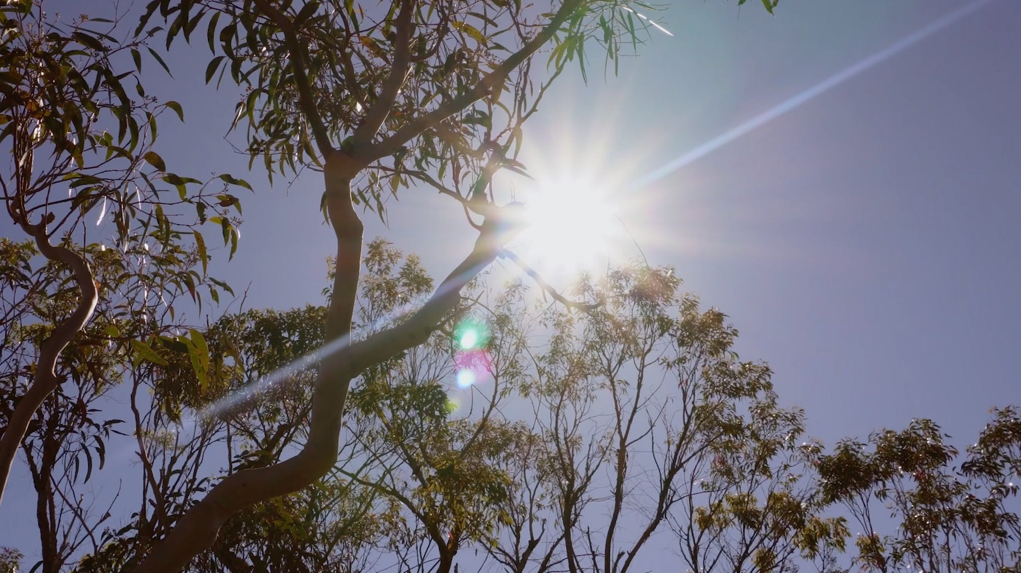 Ian's January Newsletter 2026