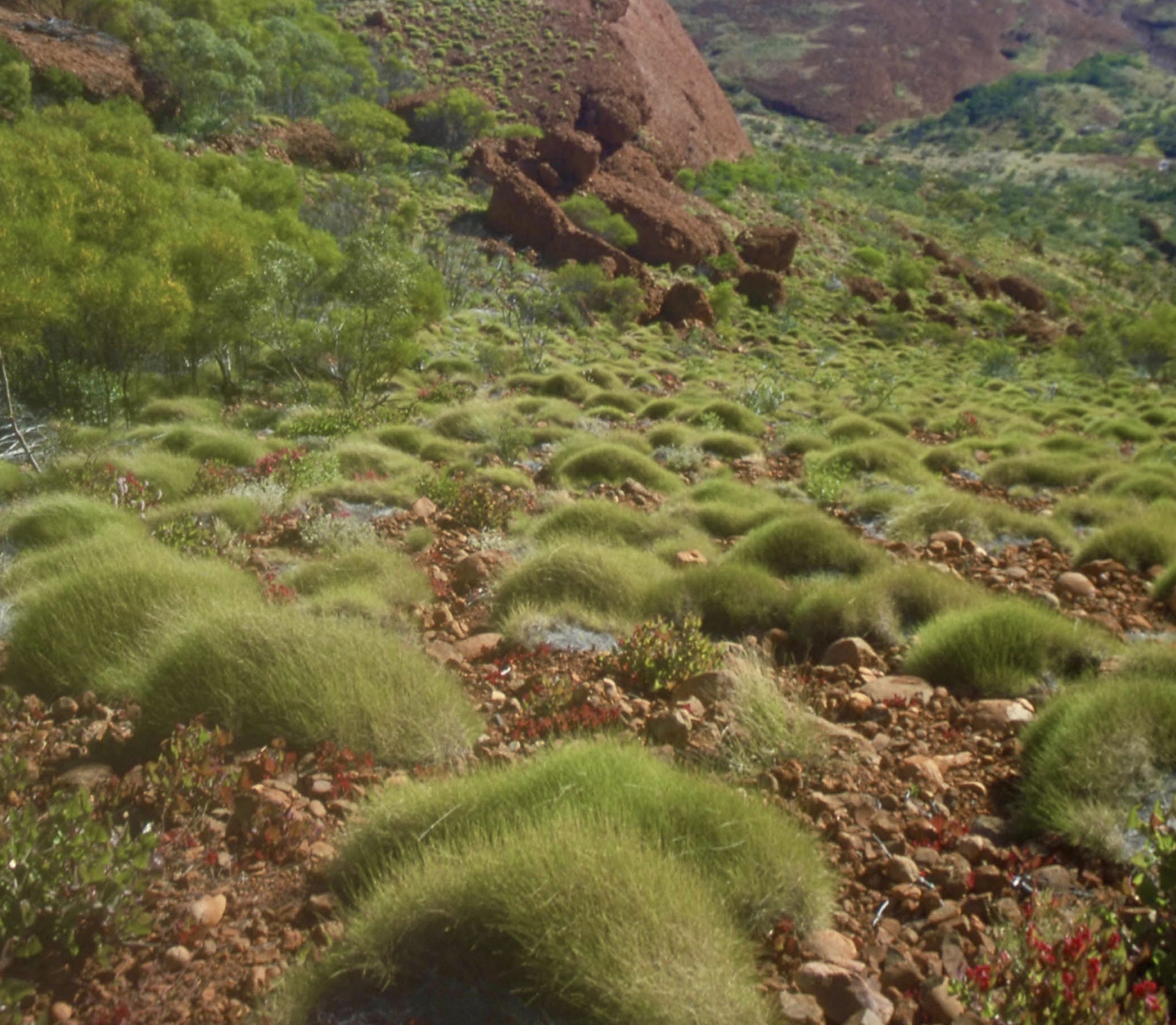 Ian's August Video Newsletter 2025