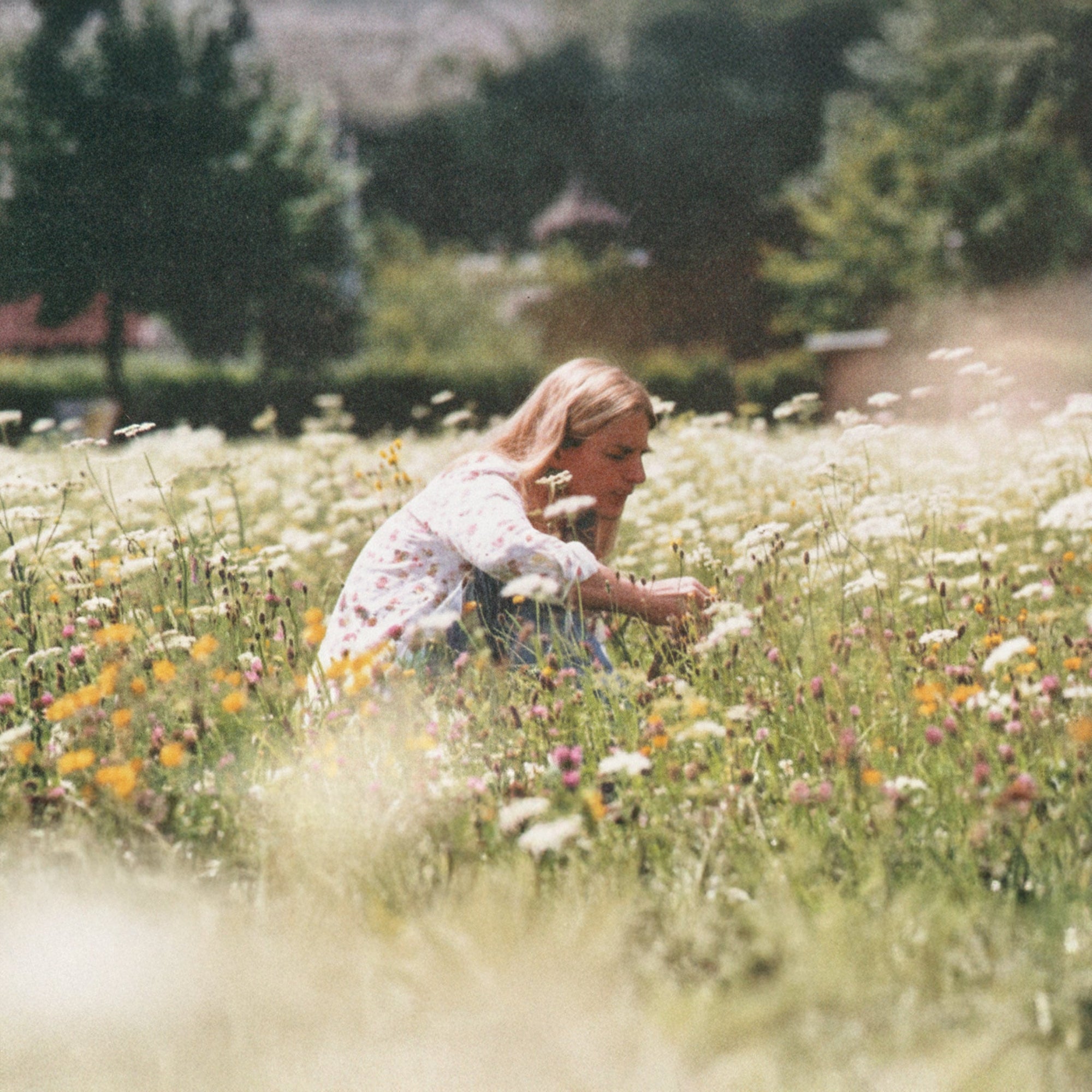 Ian's March 2026 Video Newsletter