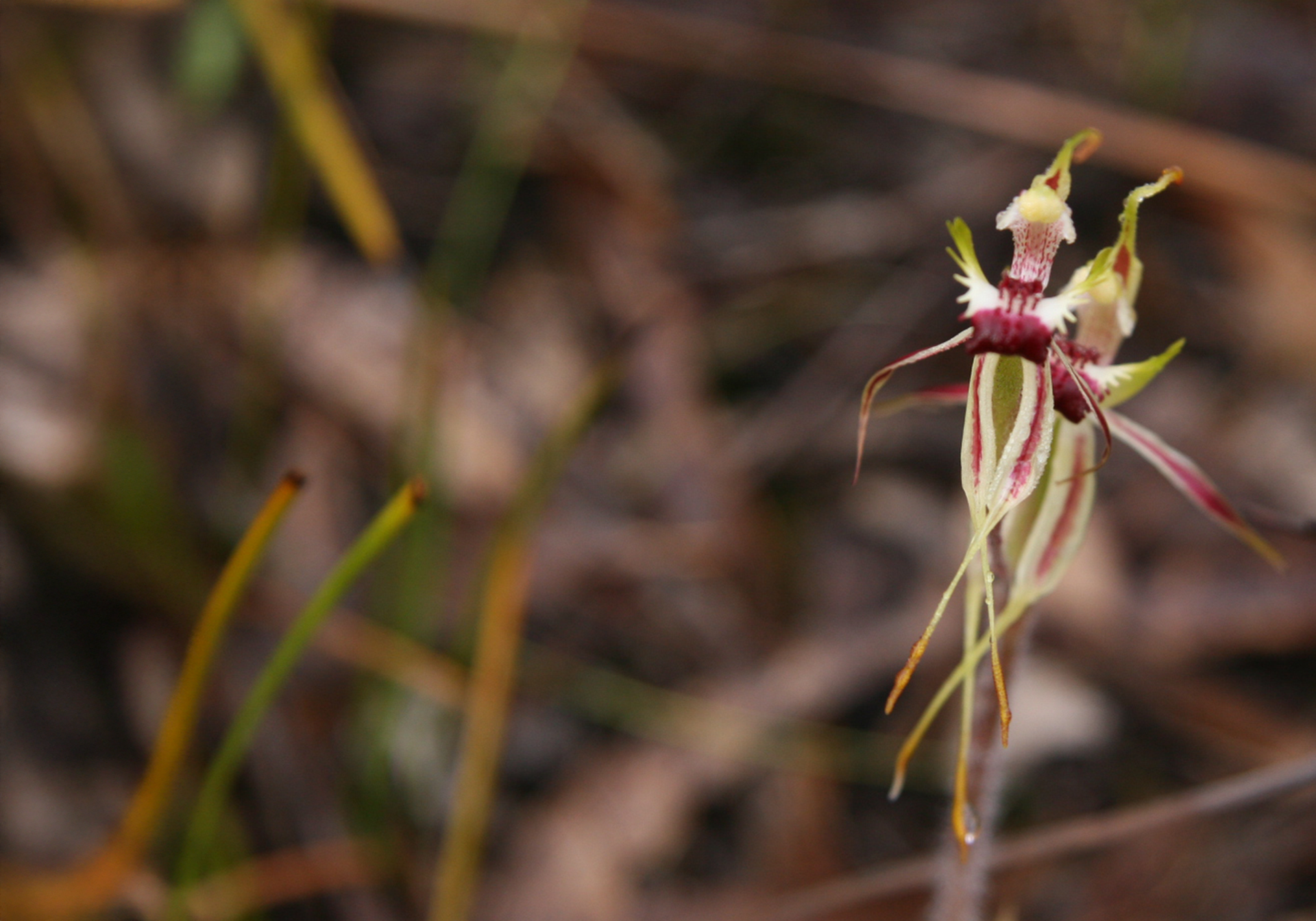 Ian's May 2025 Video Newsletter