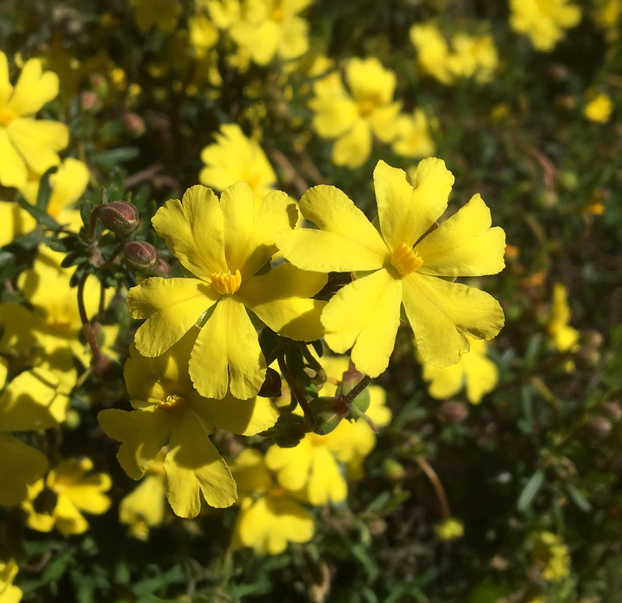 Ian's September 2025 Newsletter