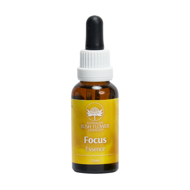 Our Focus Essence Drops are your key to achieving clarity and heightened focus during work, conversations, reading, or study sessions. They empower you to fully engage in the present moment, free from distractions and judgment.