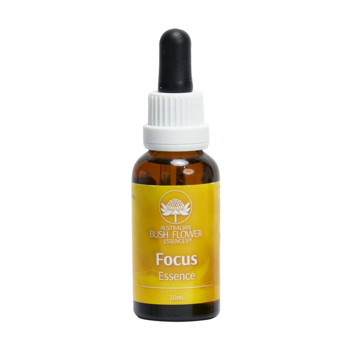 Our Focus Essence Drops are your key to achieving clarity and heightened focus during work, conversations, reading, or study sessions. They empower you to fully engage in the present moment, free from distractions and judgment.