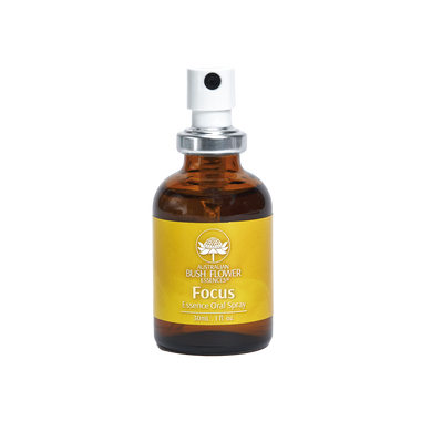 Focus Essence Collection Gift Set
