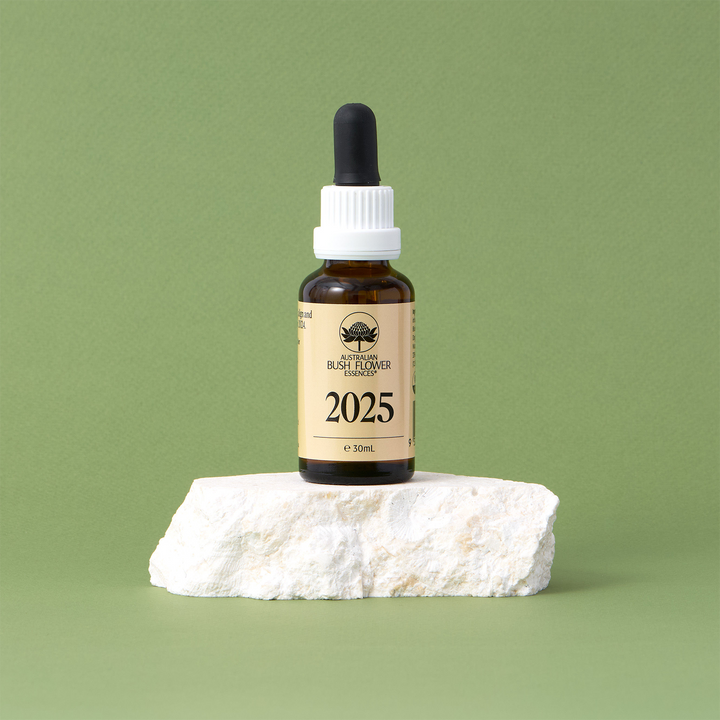 The Transformation Ritual