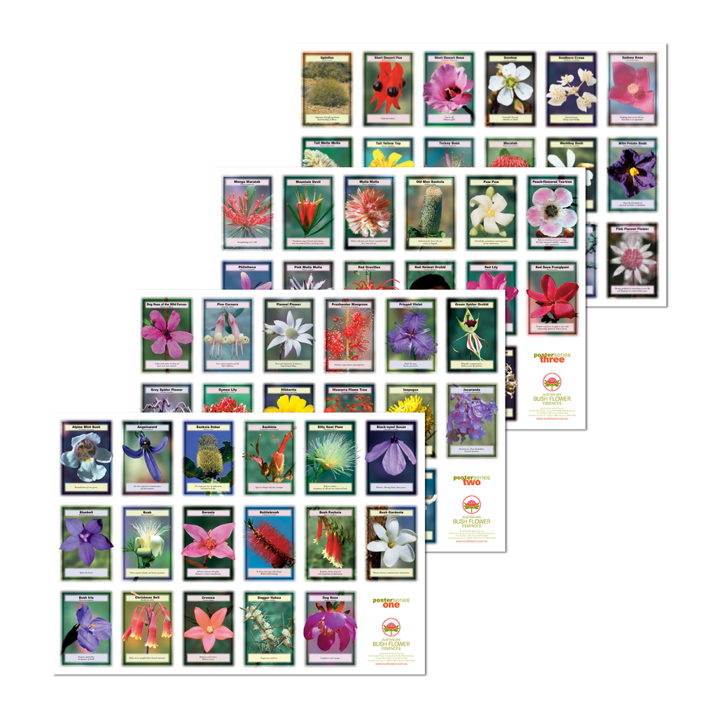 Posters x 4 (Insight Cards) Australian Bush Flower Essences