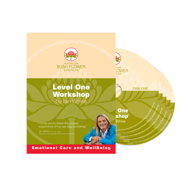 Level 1 Workshop DVD (NTSC)