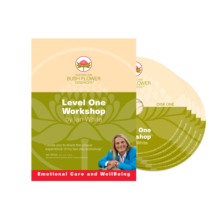 Level 1 Workshop DVD (NTSC)