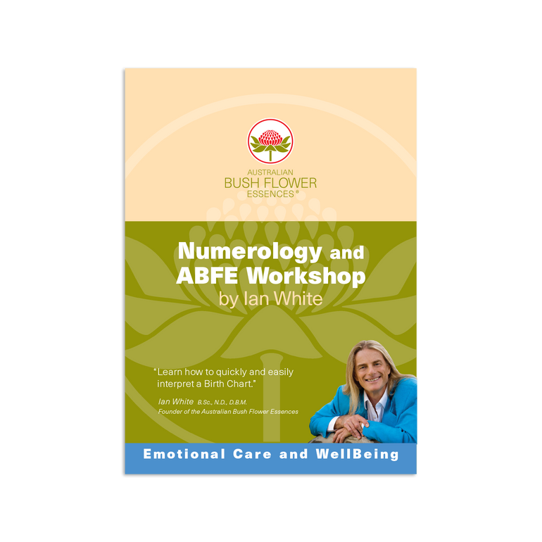 Numerology DVD - 4 hour lecture