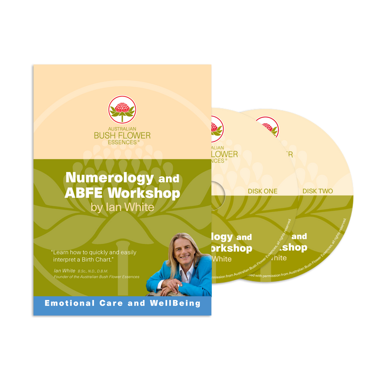 Numerology DVD - 4 hour lecture