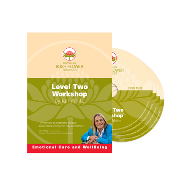 Level 2 Workshop DVD - 10 hour lecture