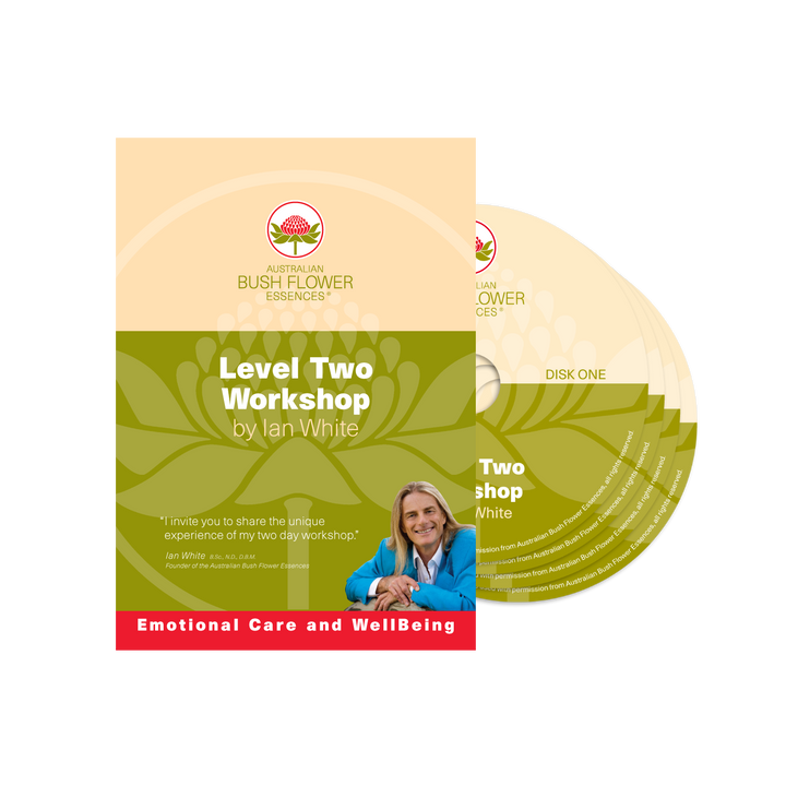 Level 2 Workshop DVD - 10 hour lecture