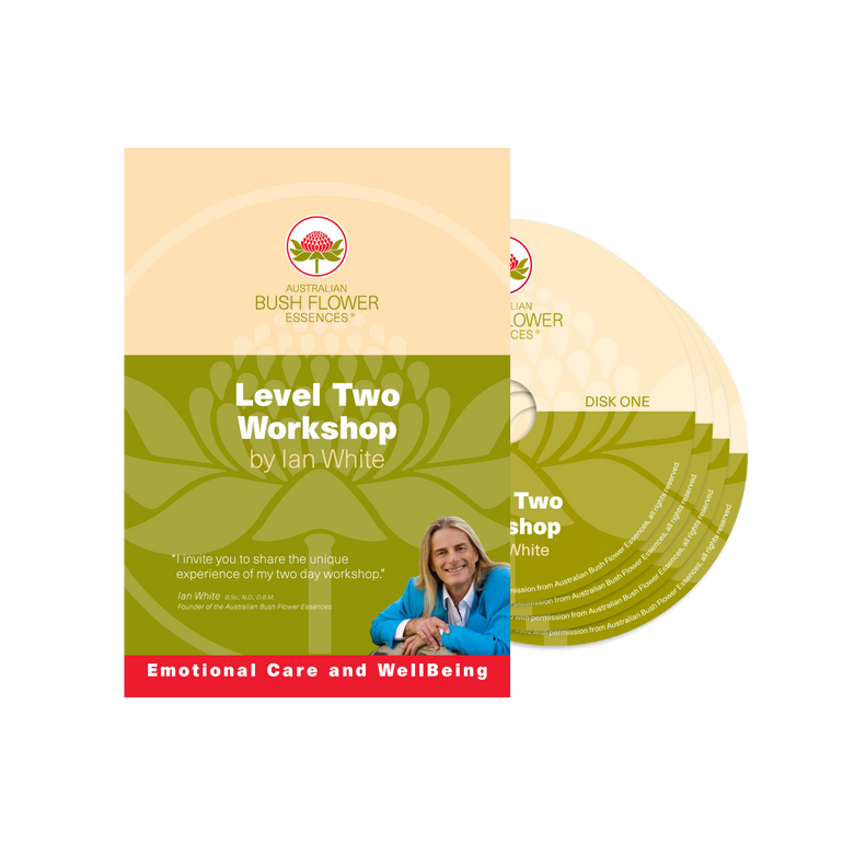 Level 2 Workshop DVD - 10 hour lecture