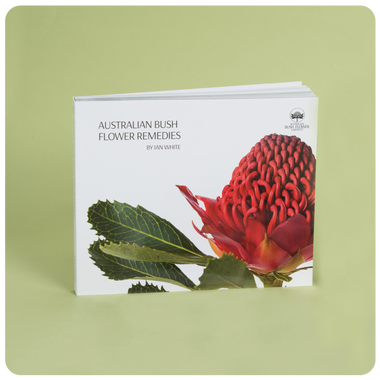 Bush Essences Education Gift Set