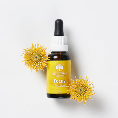 Focus Essence Festive Trio
