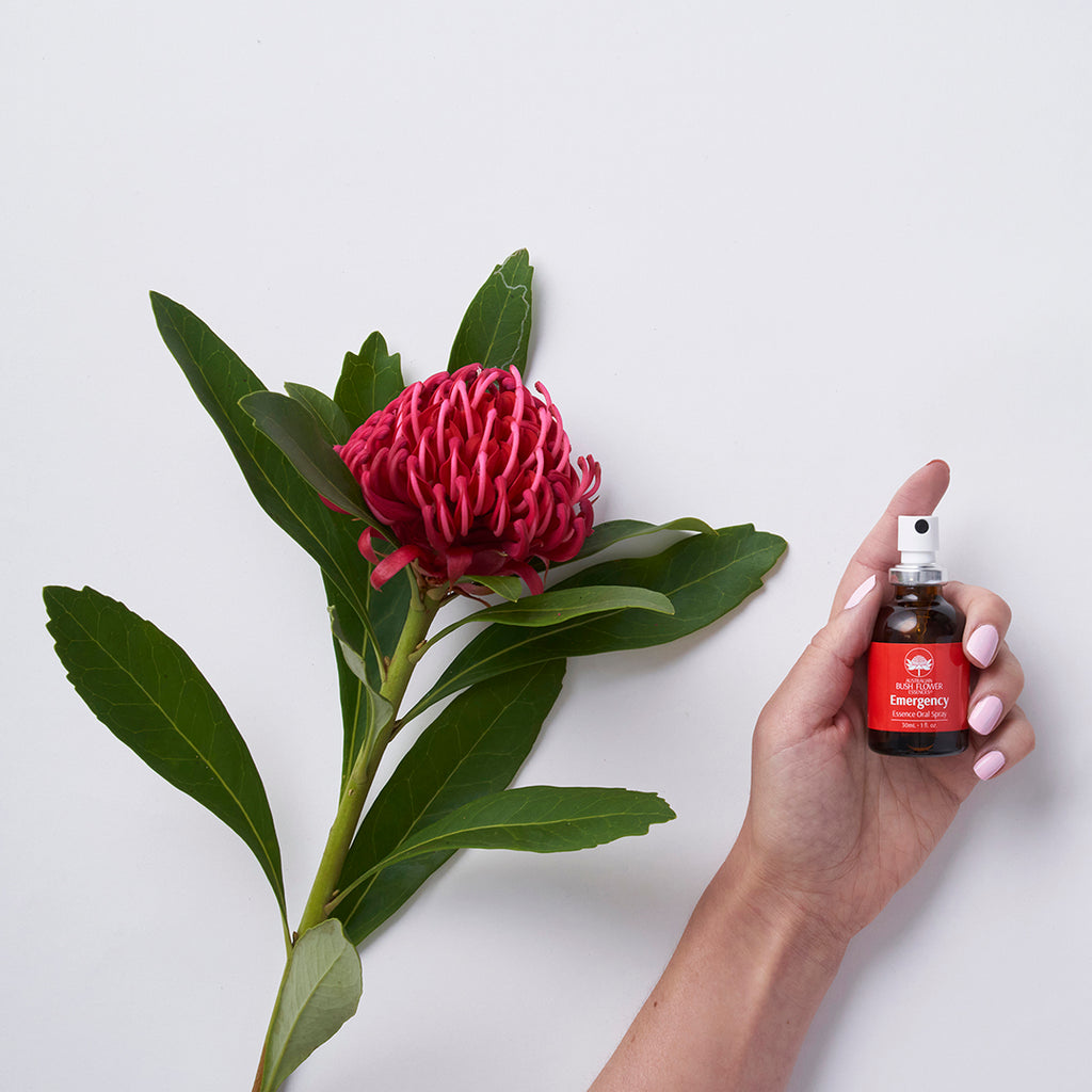 Emergency Essence Collection Gift Set Australian Bush Flower Essences