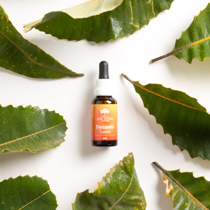 Dynamis Dynamis Essence – Australian Bush Flower Essences