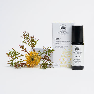 Focus Essence Festive Trio