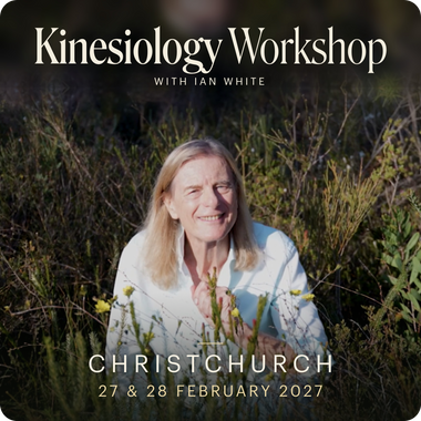 Kinesiology - Christchurch with Ian White - 27th & 28th February, 2027