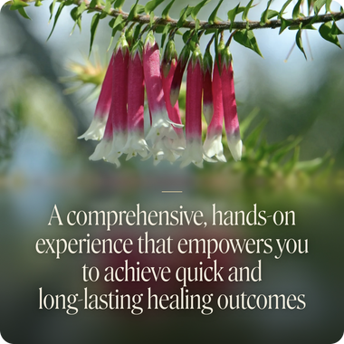 Kinesiology - Christchurch with Ian White - 27th & 28th February, 2027