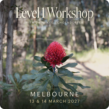 Level 1 - Melbourne with Niikee Schoendorfer - 13th & 14th March, 2027