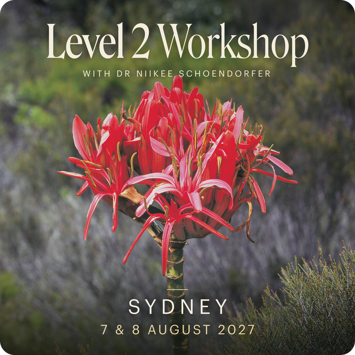 Level 2 - Sydney with Dr Niikee Schoendorfer - 7th & 8th August, 2027