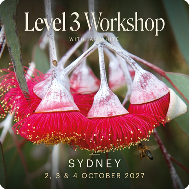 Level 3 - Sydney with Ian White, 2nd - 4th October 2027