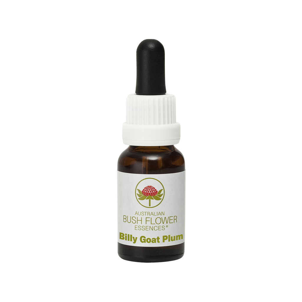 billy-goat-plum-australia-australian-bush-flower-essences