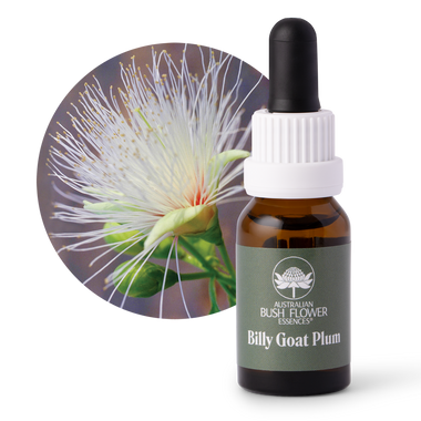 Billy Goat Plum - Australia