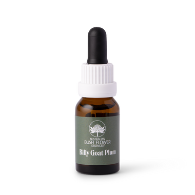 Billy Goat Plum - Australia