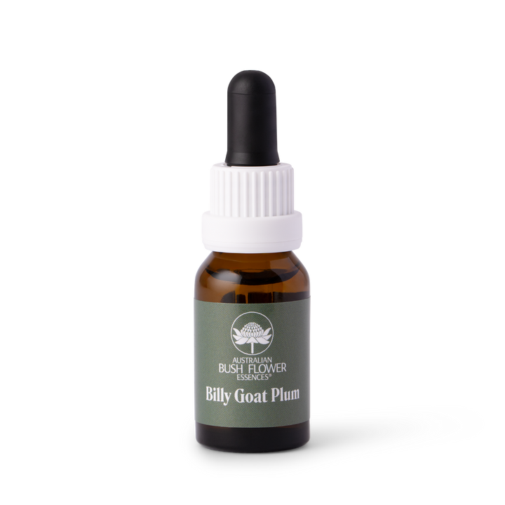 Billy Goat Plum - Australia