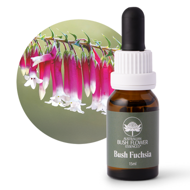 Bush Fuchsia - Australia