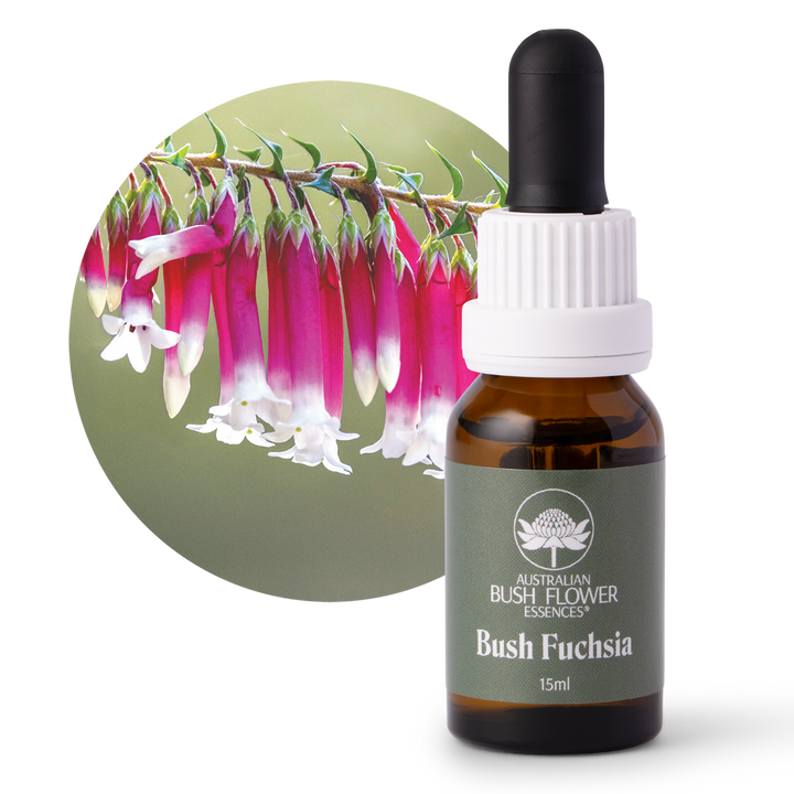 Bush Fuchsia - Australia