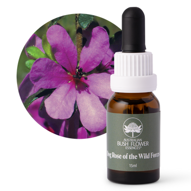 Dog Rose of the Wild Forces - Australia